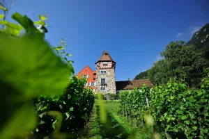 Rotes Haus
